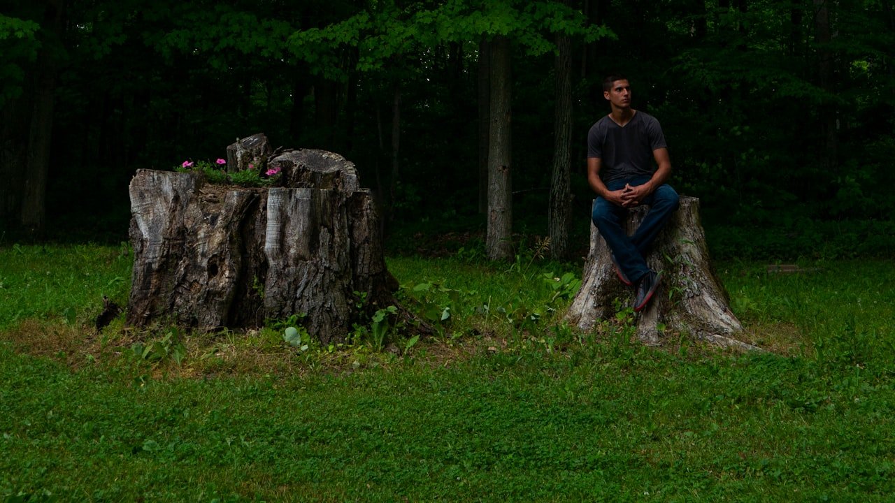 Essential Safety Measures: A Detailed Guide to Using Stump Grinder Cutter Teeth and Pocket