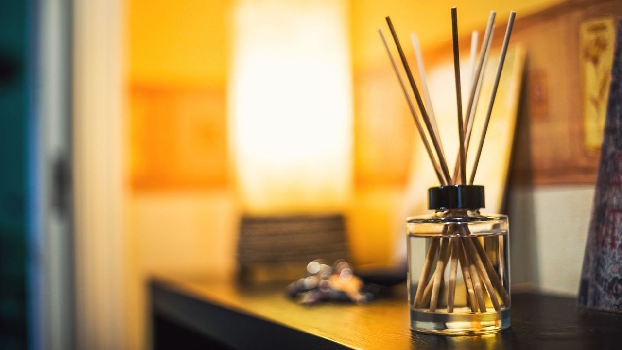 Scent Without Smoke: Why Diffusers Are the Modern Mood Makers