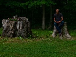 Essential Safety Measures: A Detailed Guide to Using Stump Grinder Cutter Teeth and Pocket