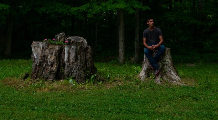 Essential Safety Measures: A Detailed Guide to Using Stump Grinder Cutter Teeth and Pocket