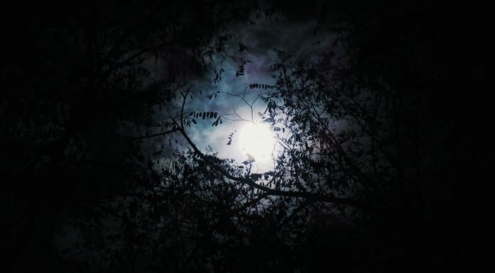 T-shirt Concepts to Wear for Halloween