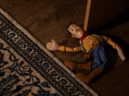 What is a Webcam Toy?