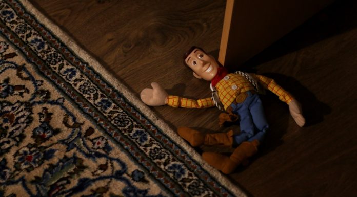 What is a Webcam Toy?