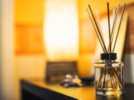 Scent Without Smoke: Why Diffusers Are the Modern Mood Makers
