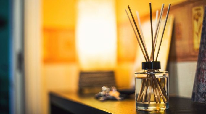Scent Without Smoke: Why Diffusers Are the Modern Mood Makers